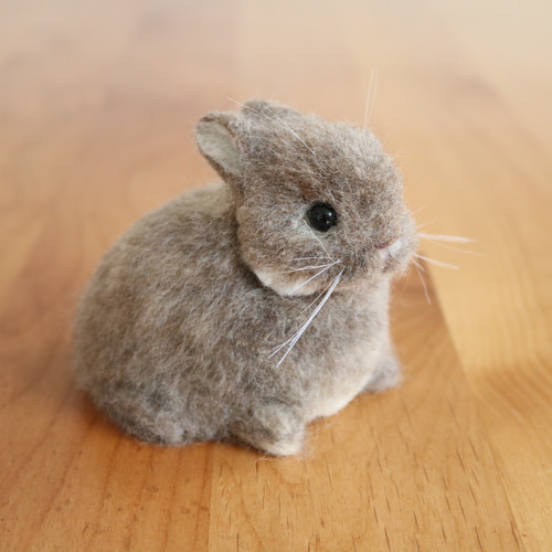 うさぎ3太郎 81ZComoN-JL.jpg