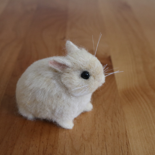 sold)ネザーランドドワーフのベビーうさぎさん フォーン 羊毛