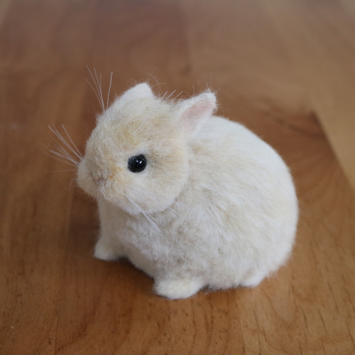 sold)ネザーランドドワーフのベビーうさぎさん フォーン 羊毛