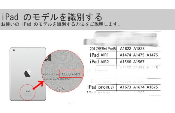  第5張的照片