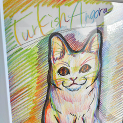 【sold-out】ターキッシュアンゴラ猫⭐レインボーアート原画(額付き)インテリアイラスト 3枚目の画像
