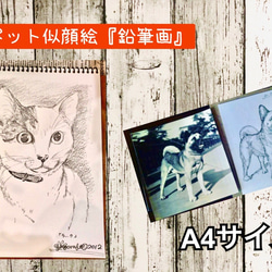 【送料無料】モノクロ『うちの子ペット似顔絵鉛筆画』お描きいたします 1枚目の画像