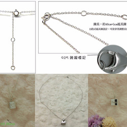 925 Silver Necklace Peace Paz Pigeon Pendant Platinum-Clad 9枚目の画像