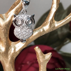 瞪大眼貓頭鷹 - 925純銀鎖骨鍊鑲鑽鍍白金項鍊 - 森林裡的貓頭鷹系列 第7張的照片