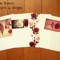 autumn flowers ポストカード 4柄セット ダリア ローズ 1枚目の画像