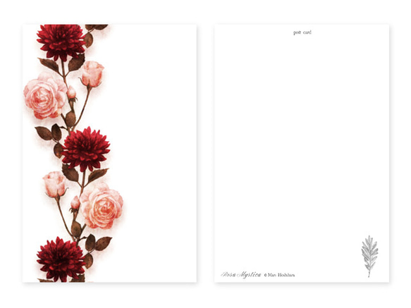 autumn flowers ポストカード 4柄セット ダリア ローズ 3枚目の画像