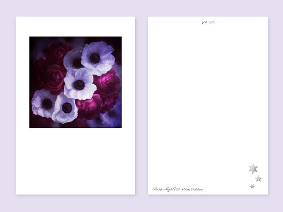 anemone & rose ポストカード 3枚セット アネモネ バラ 2枚目の画像