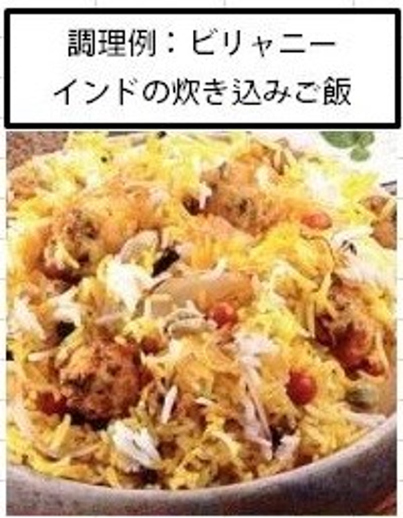 zest-foods ゼストフーズ　ビリャニーミックス  Biryani mix 42g 4枚目の画像