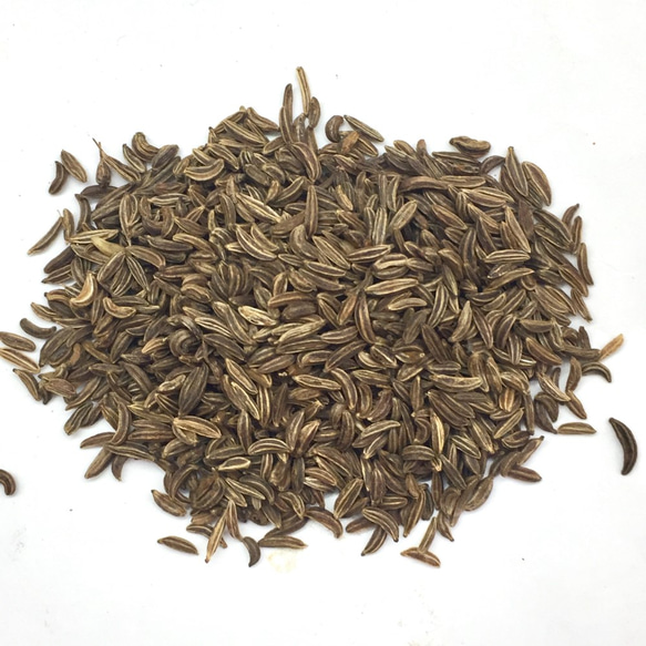 zest-foods キャラウェイホール Caraway Seed 100g 2枚目の画像