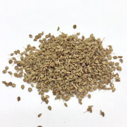 アジワイン シード Ajiwain seed 100g 2枚目の画像