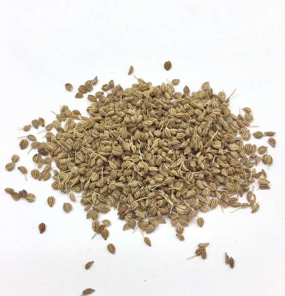 アジワイン シード Ajiwain seed 100g 2枚目の画像