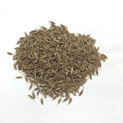 クミンシード Cumin Seed 100g 2枚目の画像