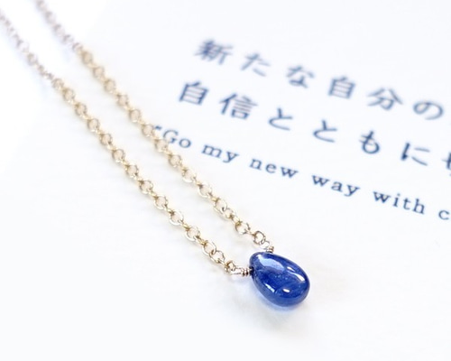noraおまとめです。カイヤナイトとトルマリンのネックレストップ　E59 天然石アクセサリー/パワーストーン/手作りものをお届け*Laviy's