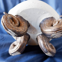 ◎【SALE】珊瑚土ドールドームM3 9枚目の画像