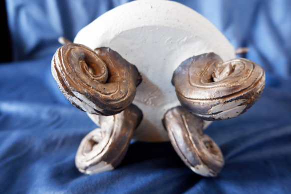 ◎【SALE】珊瑚土ドールドームM3 9枚目の画像