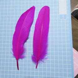 カラフルな羽　2枚　ピンク 4枚目の画像
