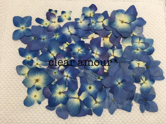 ［再販］押し花から始める天然紫陽花のラインストーンiPhone６ケース 2枚目の画像