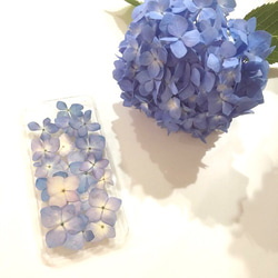 本物の紫陽花いっぱいiphoneケース 2枚目の画像