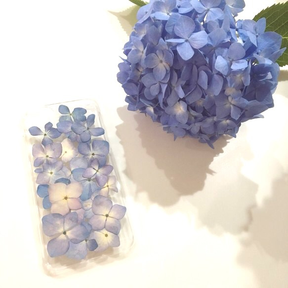 本物の紫陽花いっぱいiphoneケース 2枚目の画像