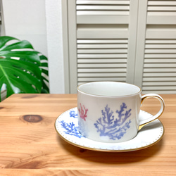 Coral cup&saucer 2枚目の画像
