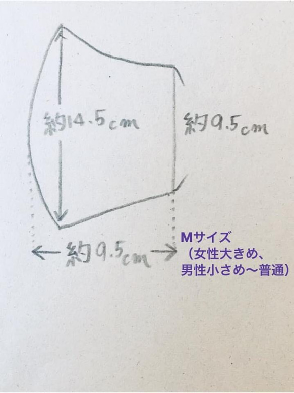  第6張的照片