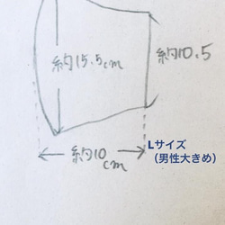  第7張的照片