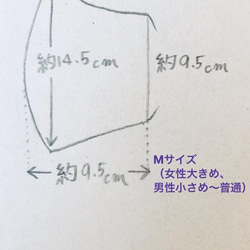  第6張的照片