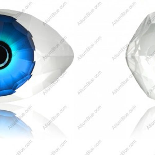 オリジナルスワロフスキー付睫毛Jewelled EyeLash 七色 ☆SBYwebショップ限定☆【ダイヤモンドラッシュ公式