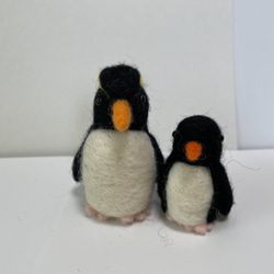 イワトビペンギン　親子 1枚目の画像