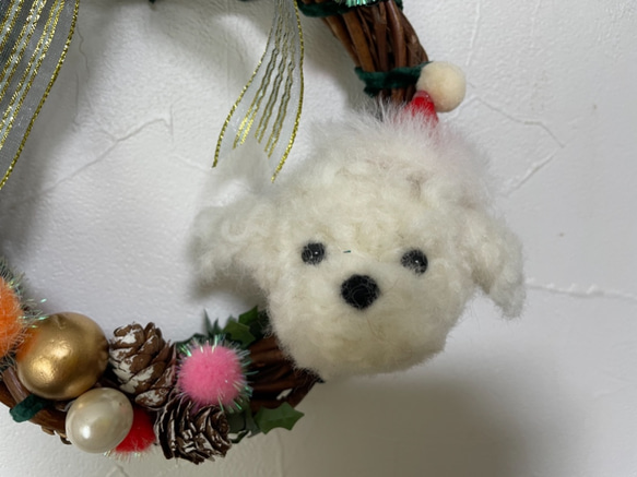 羊毛白トイプー　クリスマスリース 4枚目の画像