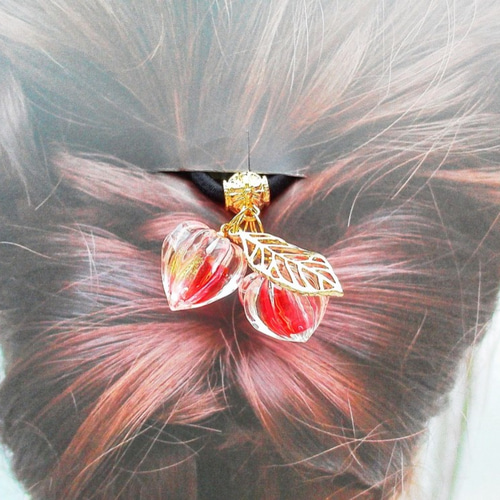 透明鬼灯（ほおずき）のヘアゴム ヘアゴム sorarium 通販 9947604