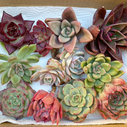 0_da0f59f15fd56ce0549443e465cb