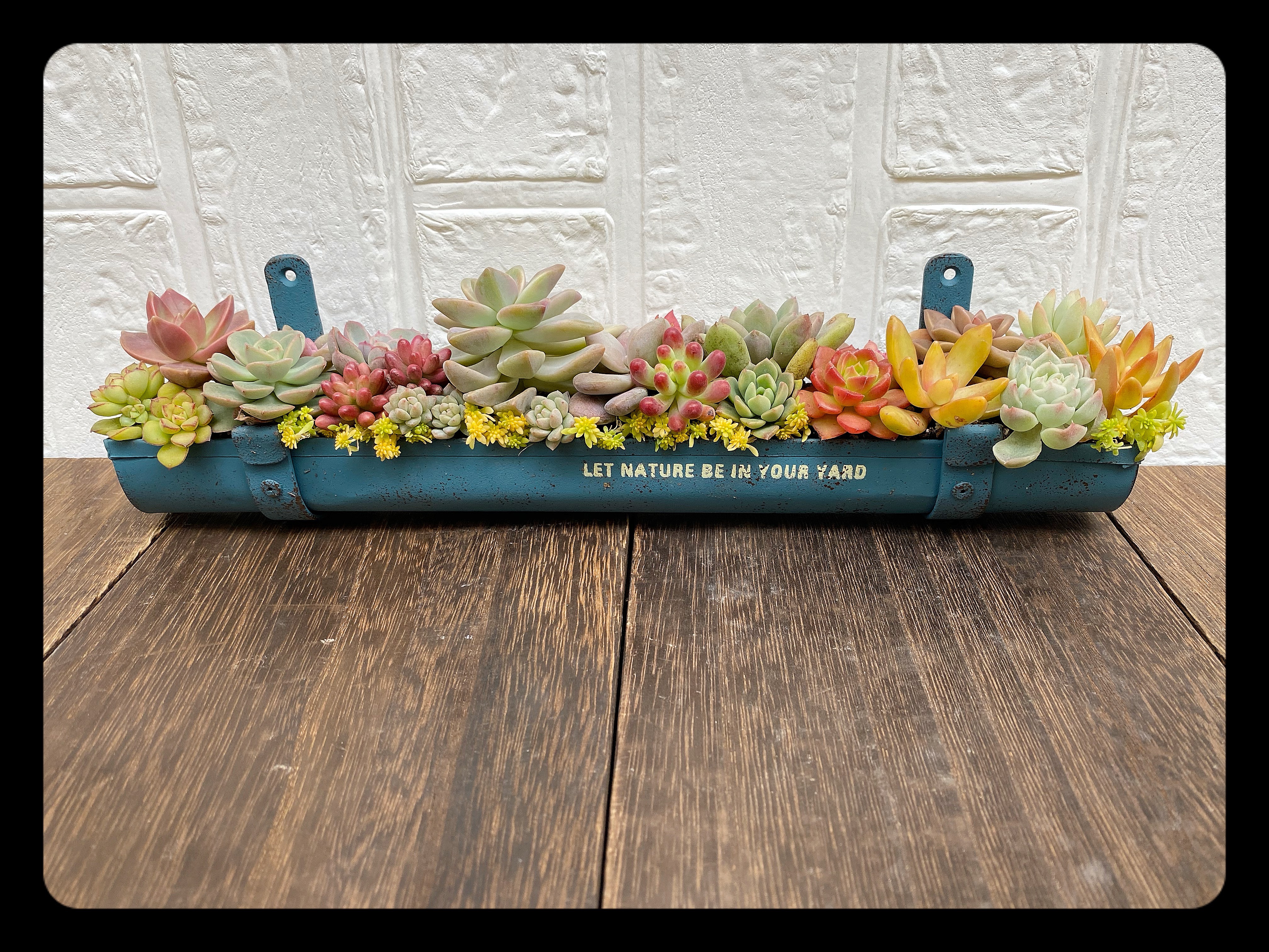 ブリキティン桶ロングプランターA☆寄せ植え☆多肉植物☆プレゼント