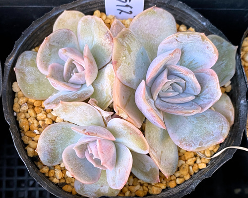 0_2c2bd623a2ba71377683e7abe8b8