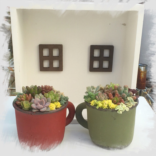 【在庫あり/即出荷可】 アンティーク風カップ鉢☆寄せ植え☆多肉植物 その他素材 鉢・プランター