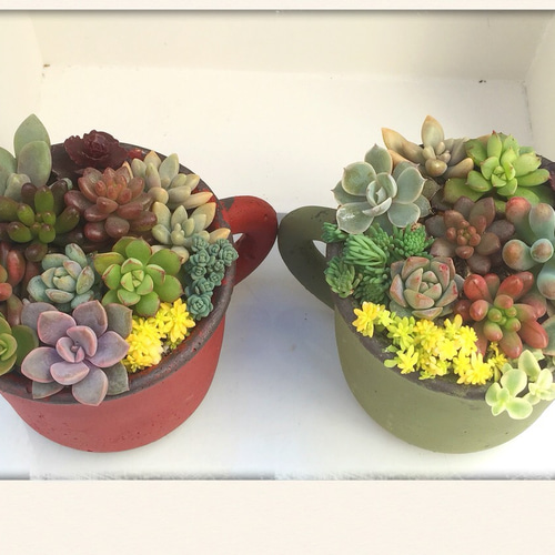 アンティーク風カップ鉢☆寄せ植え☆多肉植物 その他素材