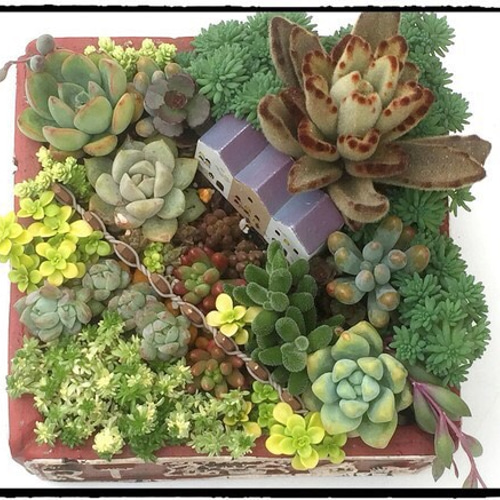 てっさい堂アンティーク版画 植物 3枚セット