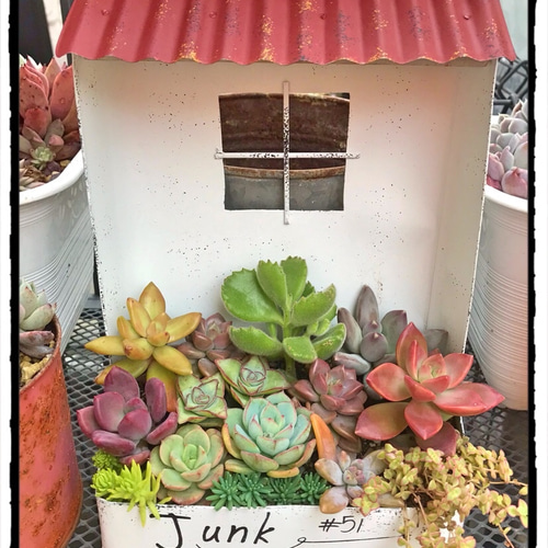 トタン屋根ブリキプランター☆寄せ植え☆多肉植物☆プレゼント その他