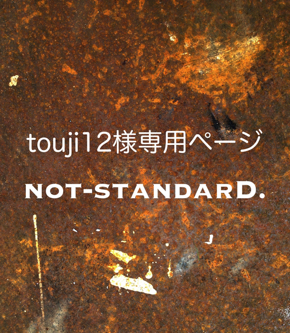 【touji12様オーダー専用ページ】アイアンシェルフ 1枚目の画像