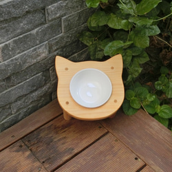 【貓老大】QQ貓餐桌 第4張的照片