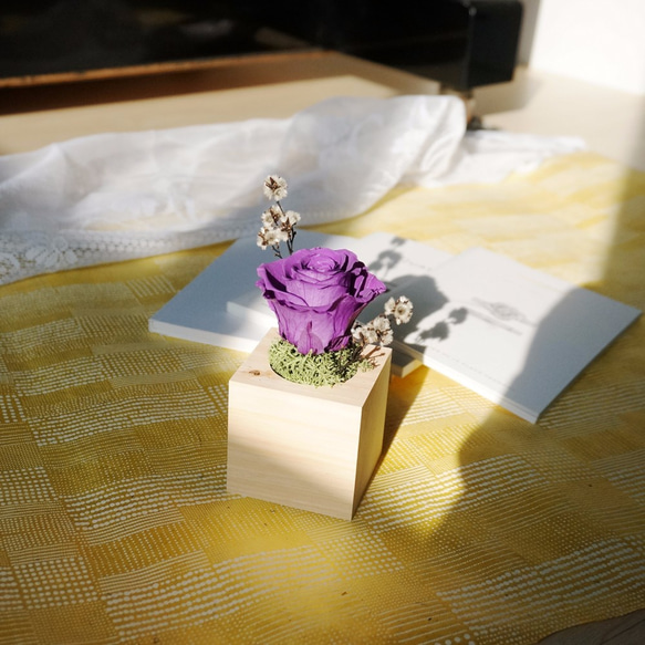 和風玫瑰小盆栽-深紫色 第2張的照片