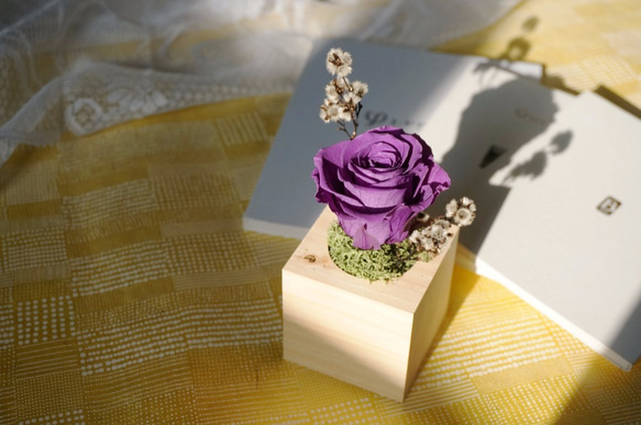 和風玫瑰小盆栽-深紫色 第3張的照片