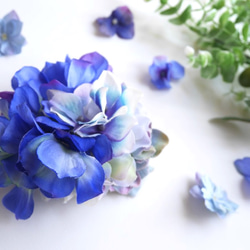 青い紫陽花を集めたピンクリップ 2枚目の画像