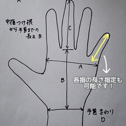  第3張的照片