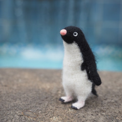 【イグ様オーダー分】強気なアデリーペンギン 2枚目の画像