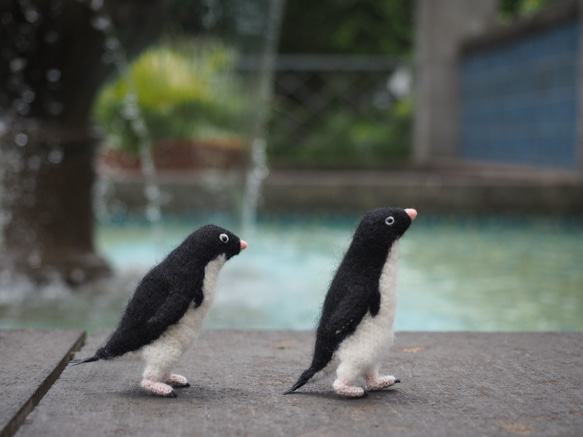 【イグ様オーダー分】強気なアデリーペンギン 4枚目の画像