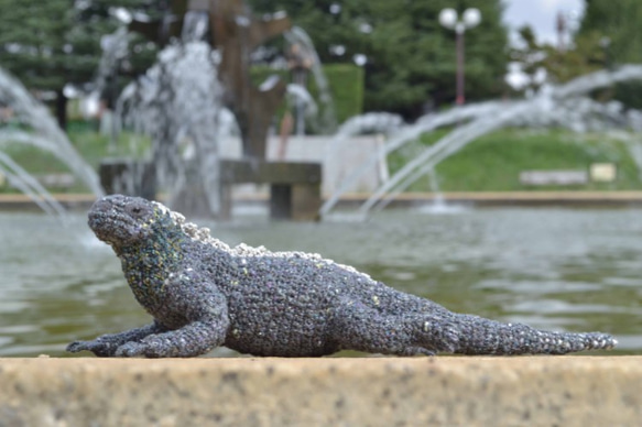 ウミイグアナのあみぐるみ 1枚目の画像