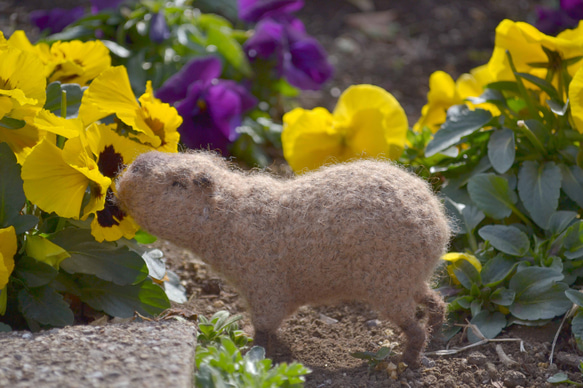 あみぐるみ　ハンドメイド　カピバラ　夏♡【オーダー商品ぱる】 あみぐるみ カピバラ - OK-3&Co. GALLERY | minne byGMOペパボ