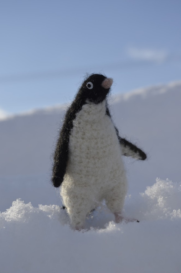 Adelie penguin 様オーダー Adelie penguin 様オーダー