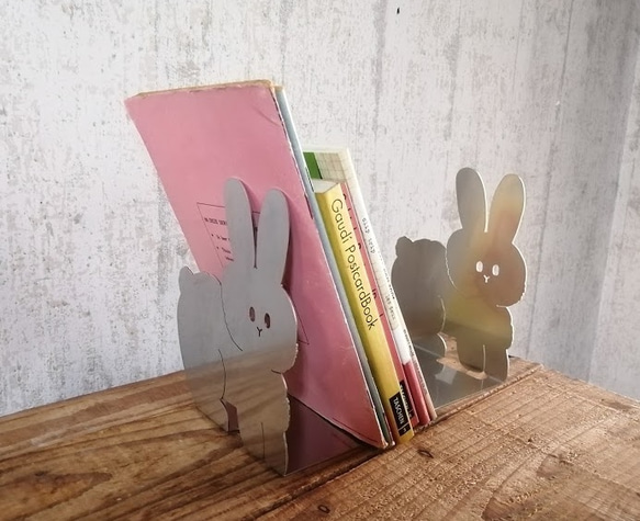 毛茸茸的兔子書架 第1張的照片